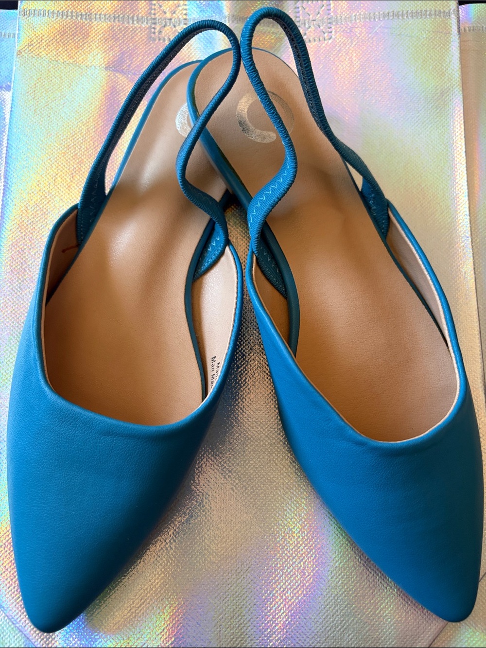 NWOT Women's Teal Pointed-Toe Slingback Flats